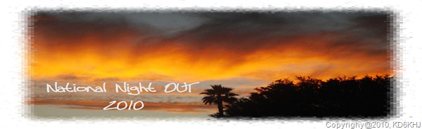 National Night Out CVS