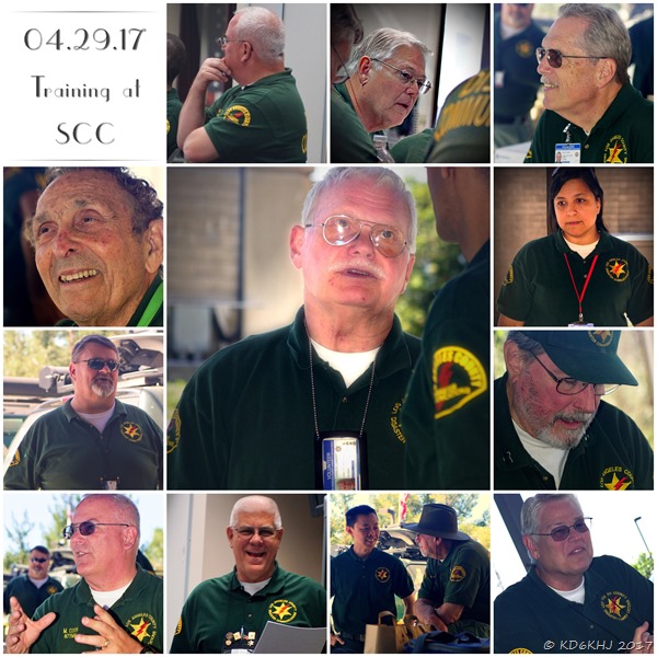 Processed with MOLDIV