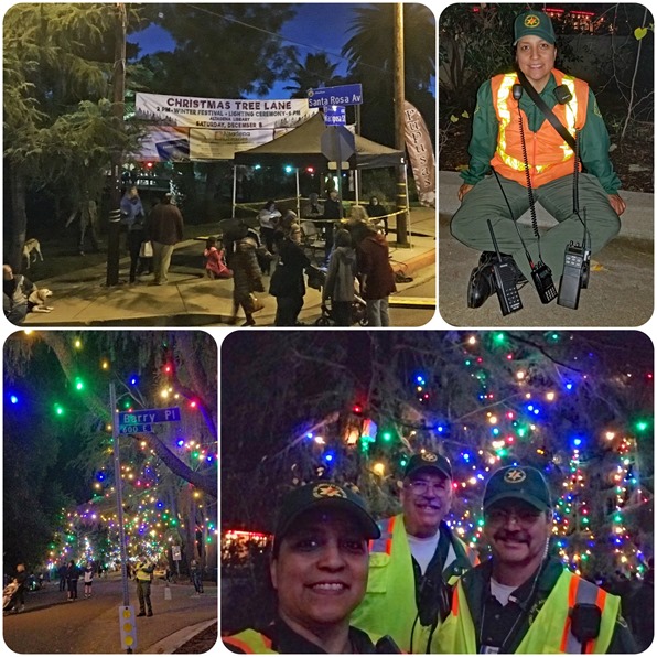 Processed with MOLDIV